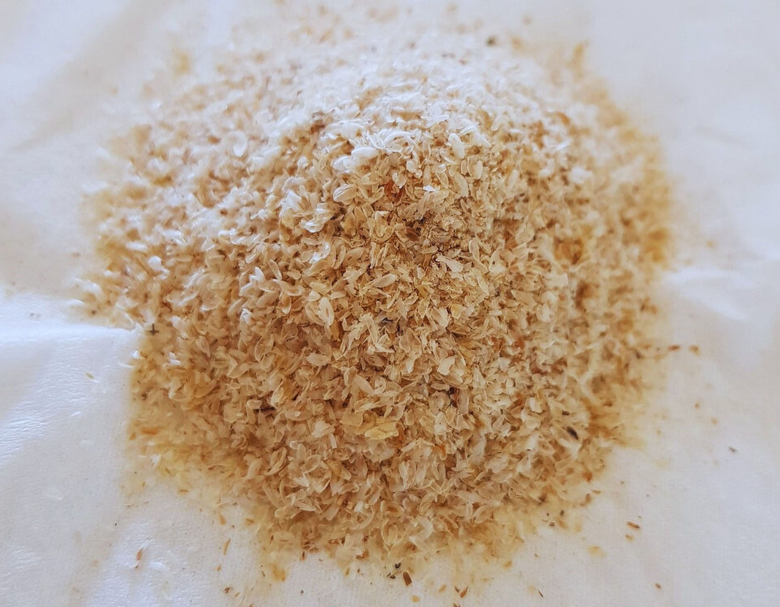 Nature’s Best-Kept Secret for Gut Health—Psyllium Husk