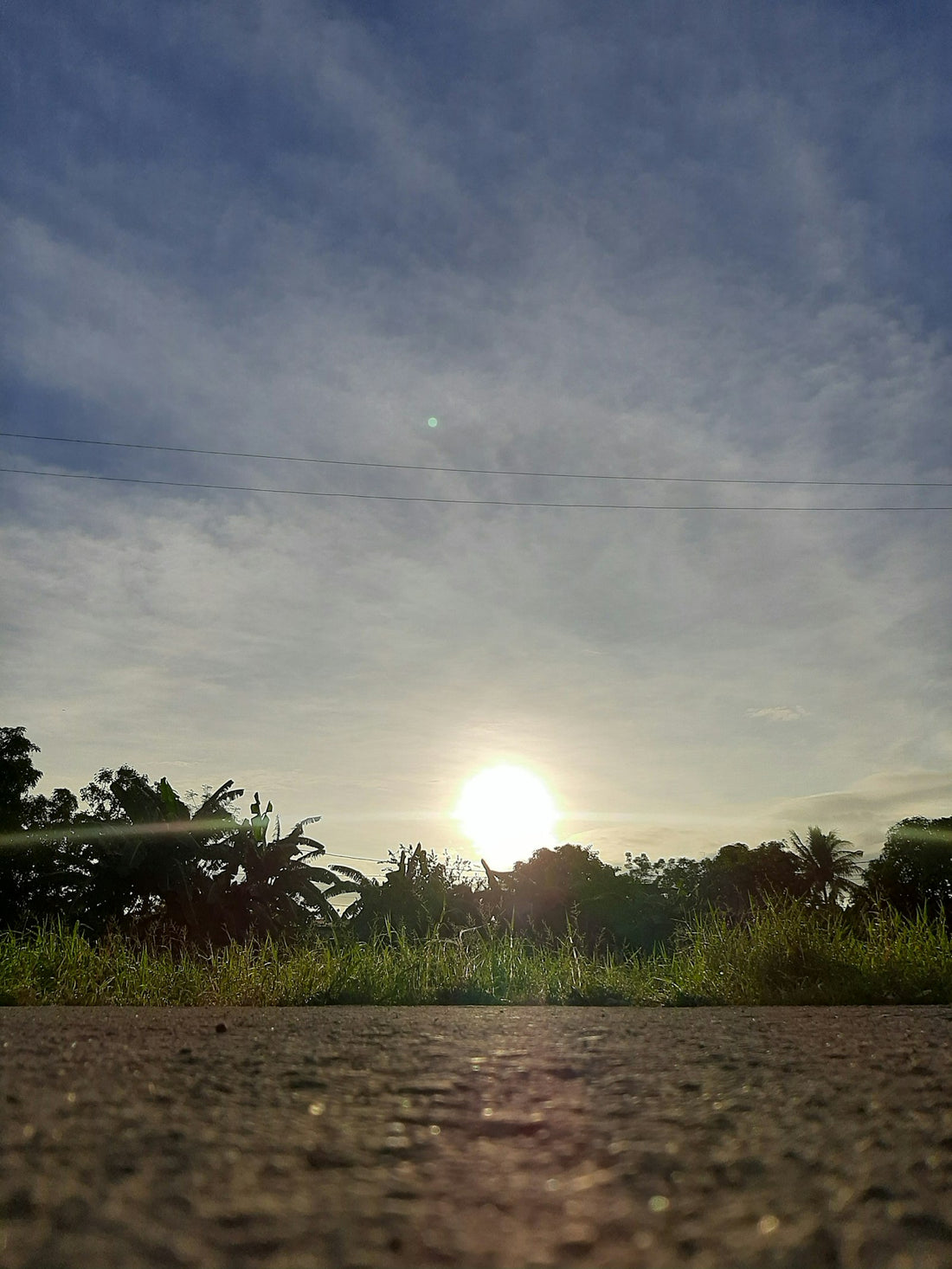 Morning sun rising over palm trees and a quiet path, a good time for a winter walk in the UAE